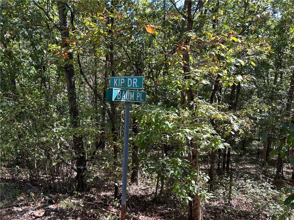 Off Kip Drive Property Photo 13