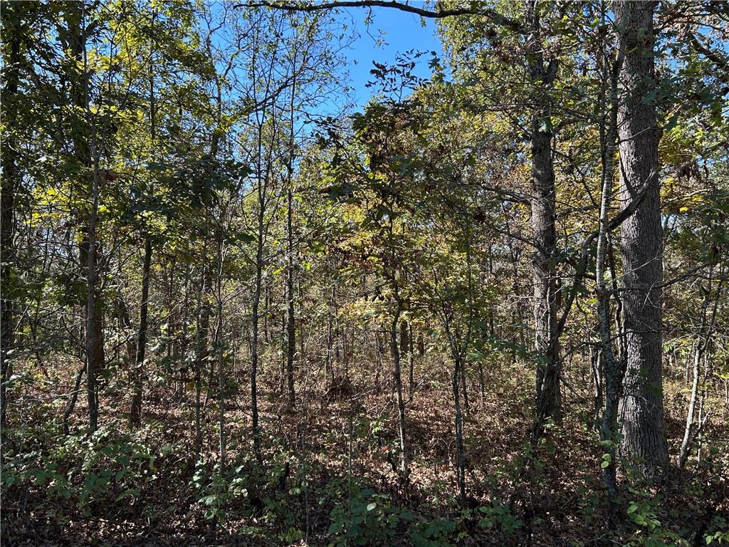 Off Kip Drive Property Photo 14