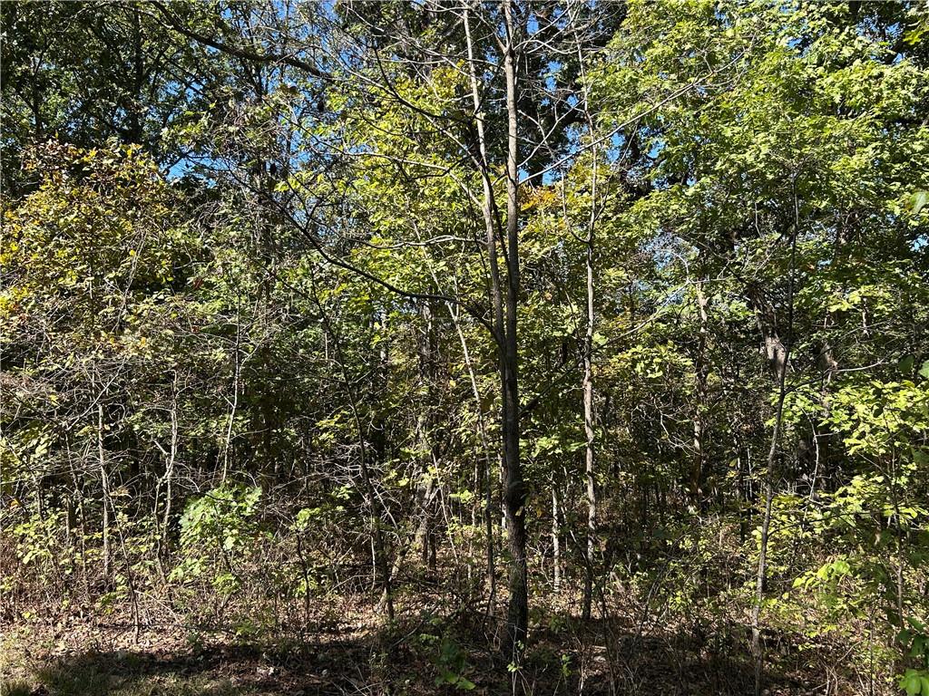 Off Kip Drive Property Photo 15