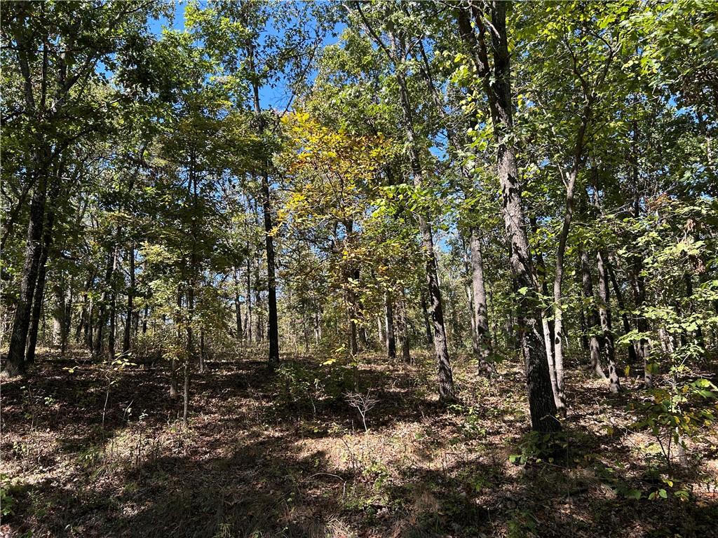 Off Kip Drive Property Photo 16