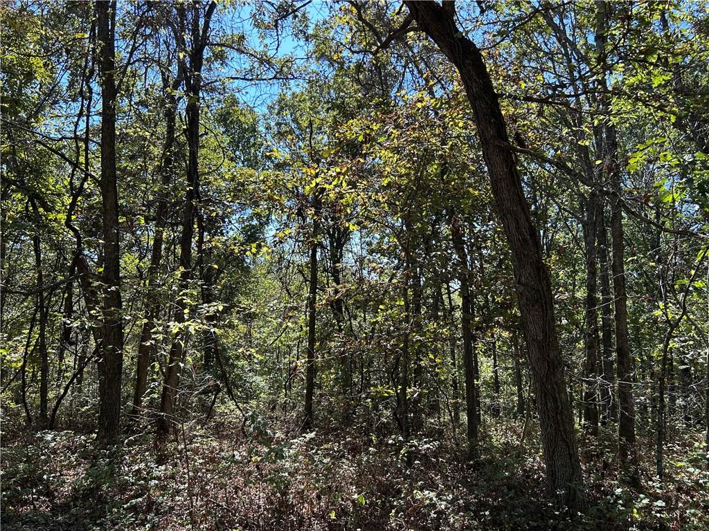 Off Kip Drive Property Photo 17