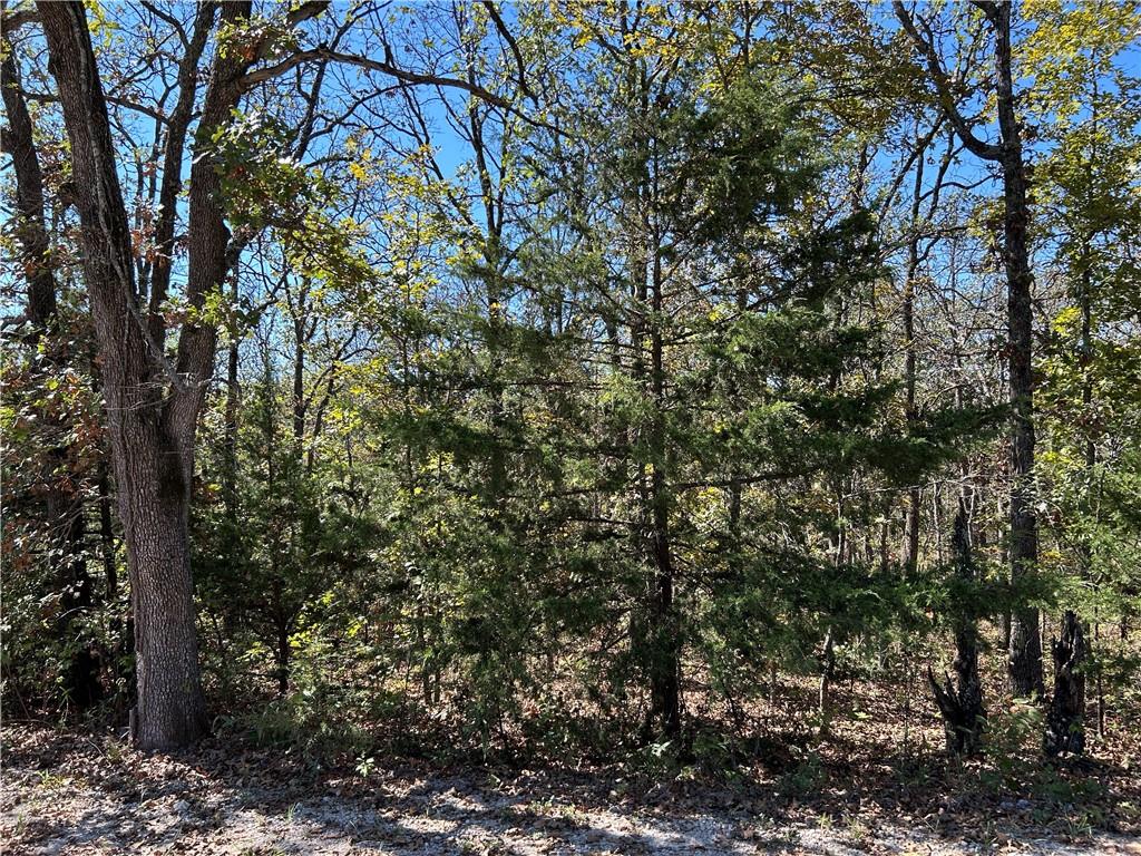 Off Kip Drive Property Photo 18