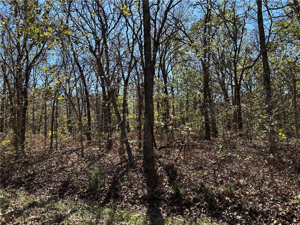 Off Kip Drive Property Photo 19