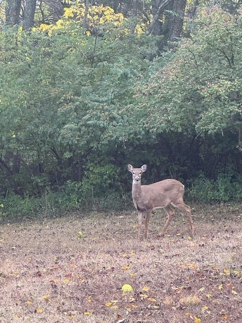 21405 W 73 Terrace Property Photo 47