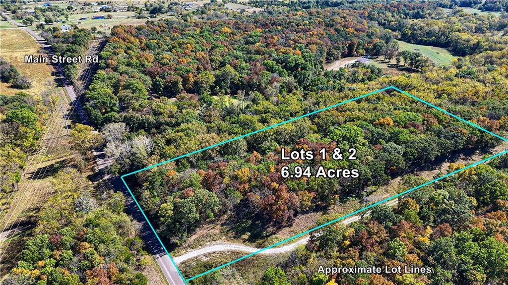 Lot 1 & 2 Main Street Road Property Photo 4