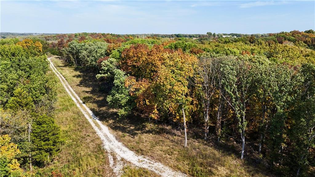 Lot 1 & 2 Main Street Road Property Photo 6