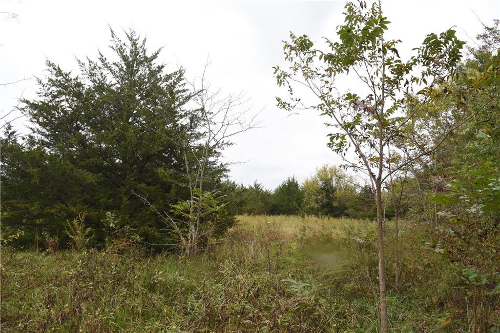 Quail Rd Road Property Photo 2