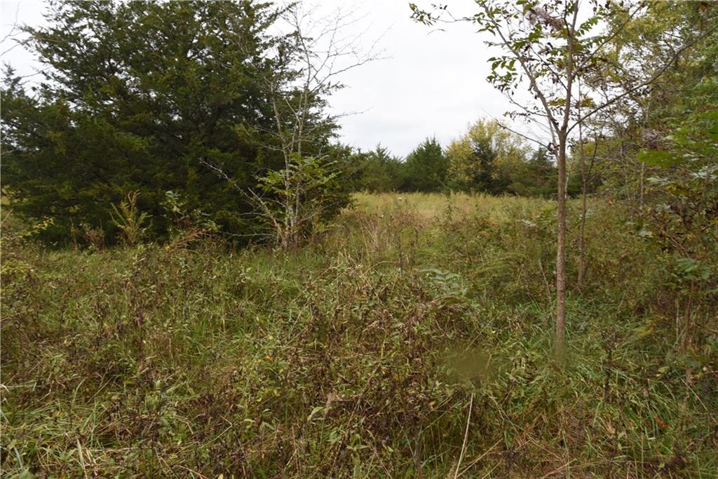 Quail Rd Road Property Photo 3