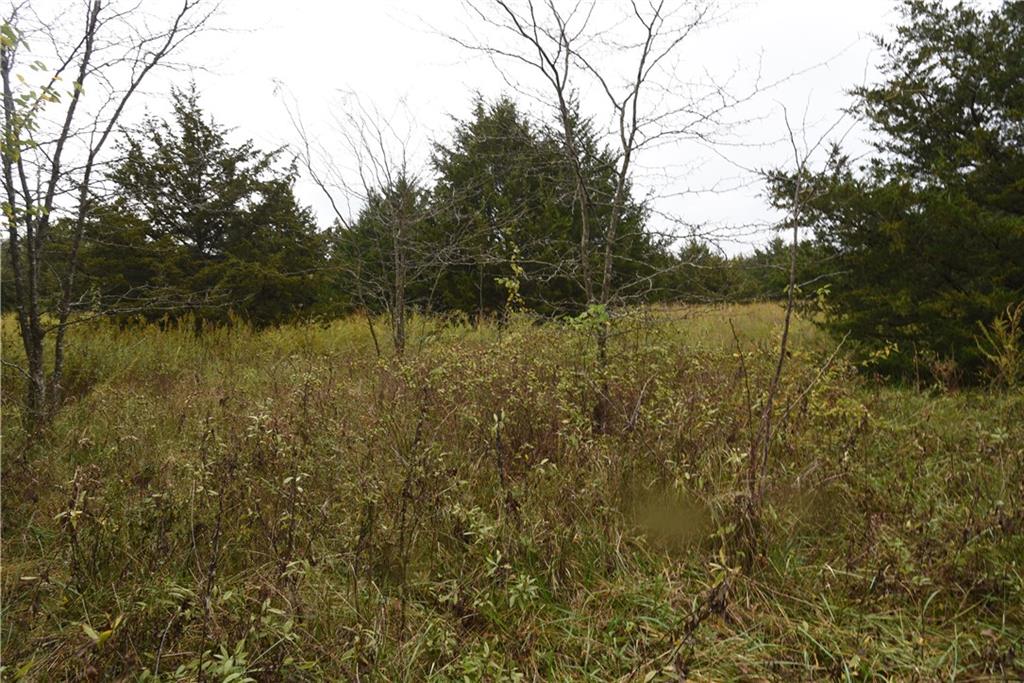 Quail Rd Road Property Photo 4