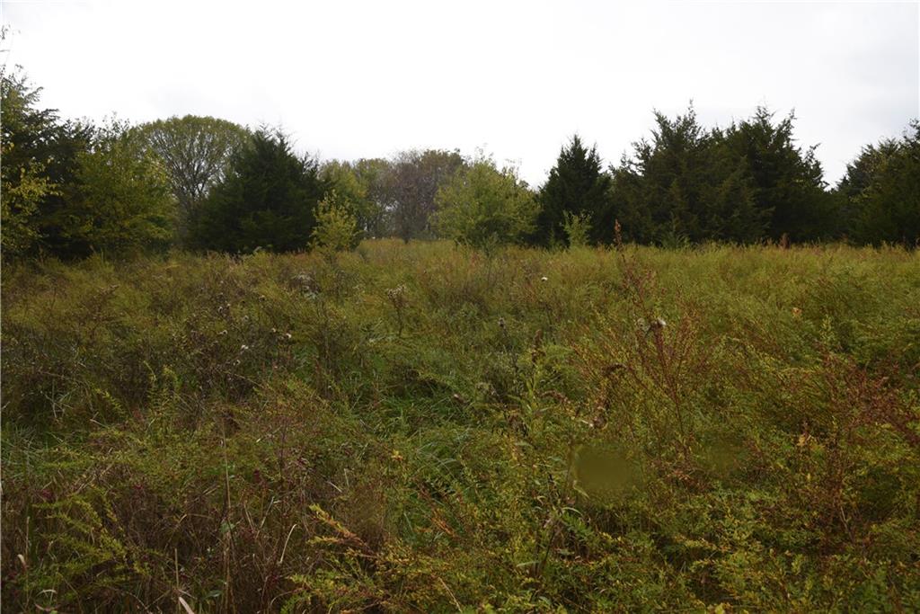 Quail Rd Road Property Photo 5