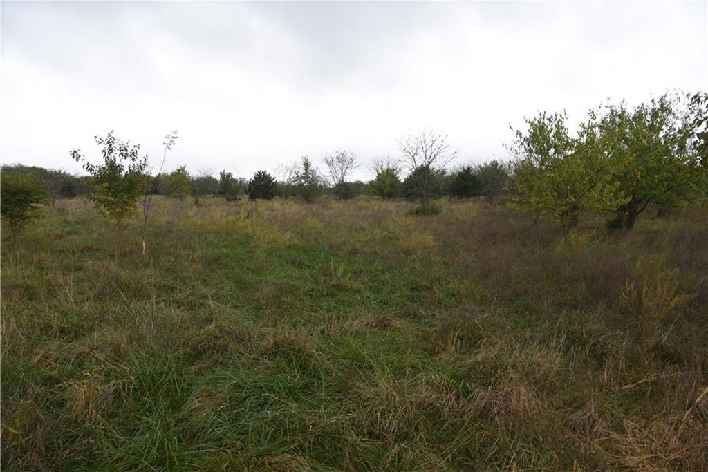 Quail Rd Road Property Photo 11
