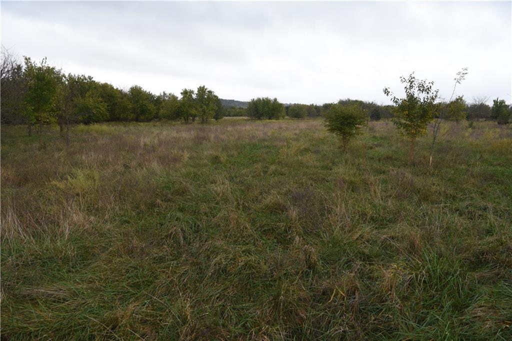 Quail Rd Road Property Photo 12