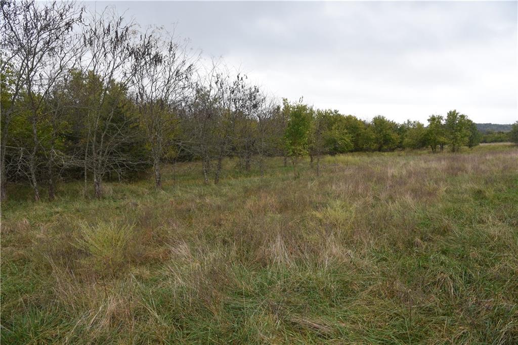 Quail Rd Road Property Photo 13