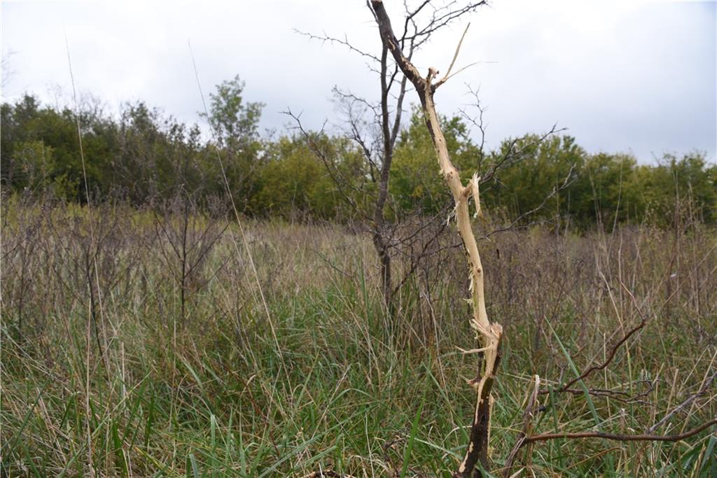 Quail Rd Road Property Photo 18