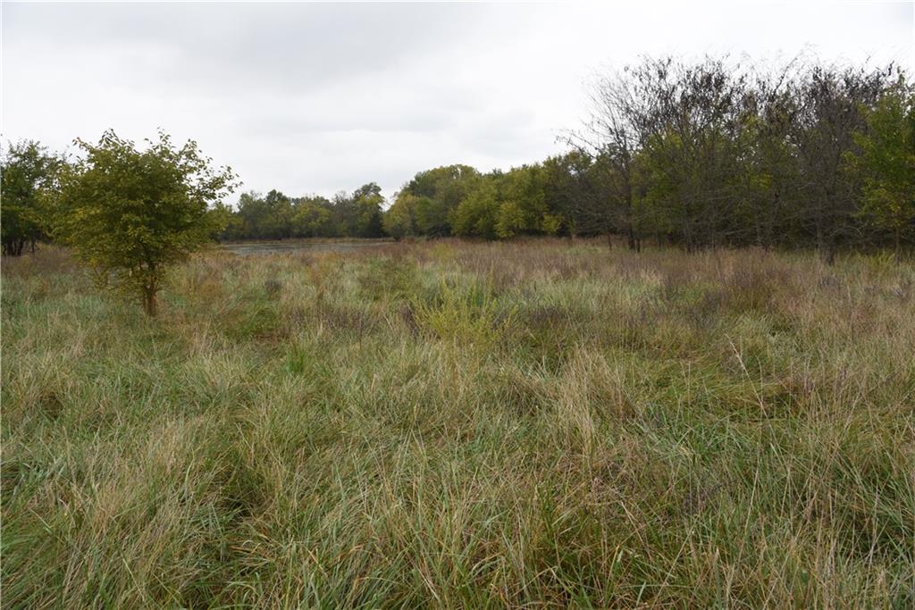 Quail Rd Road Property Photo 20