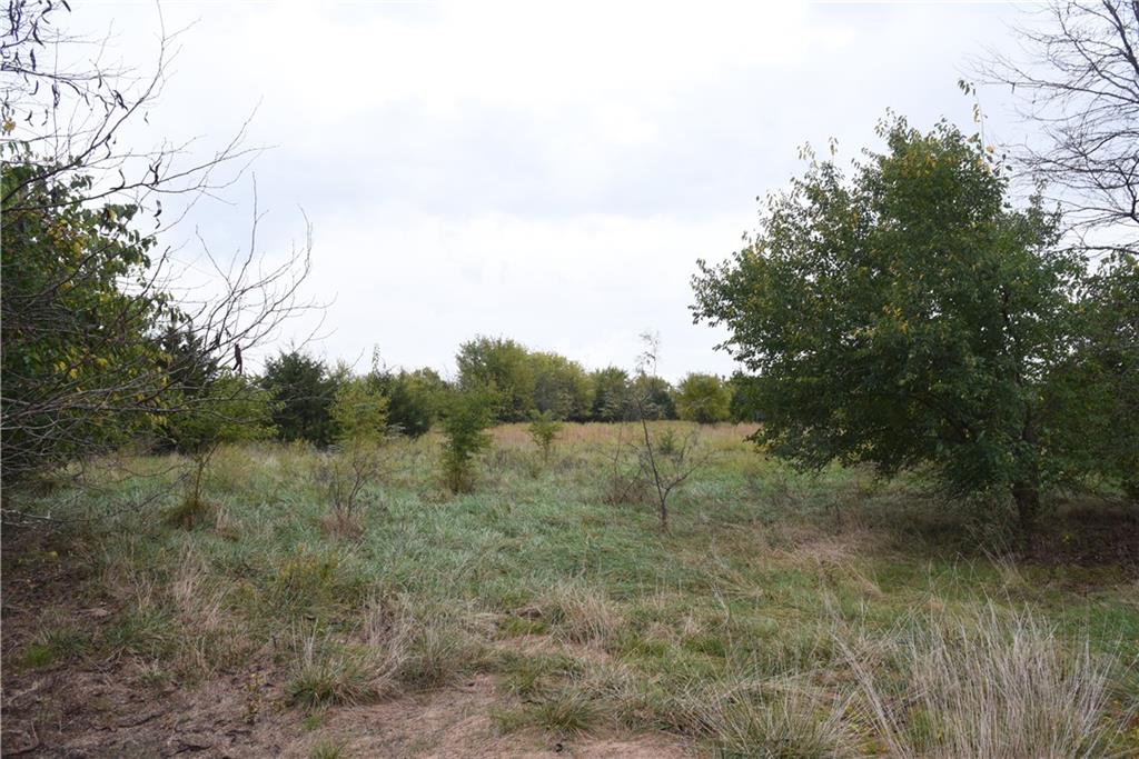 Quail Rd Road Property Photo 31