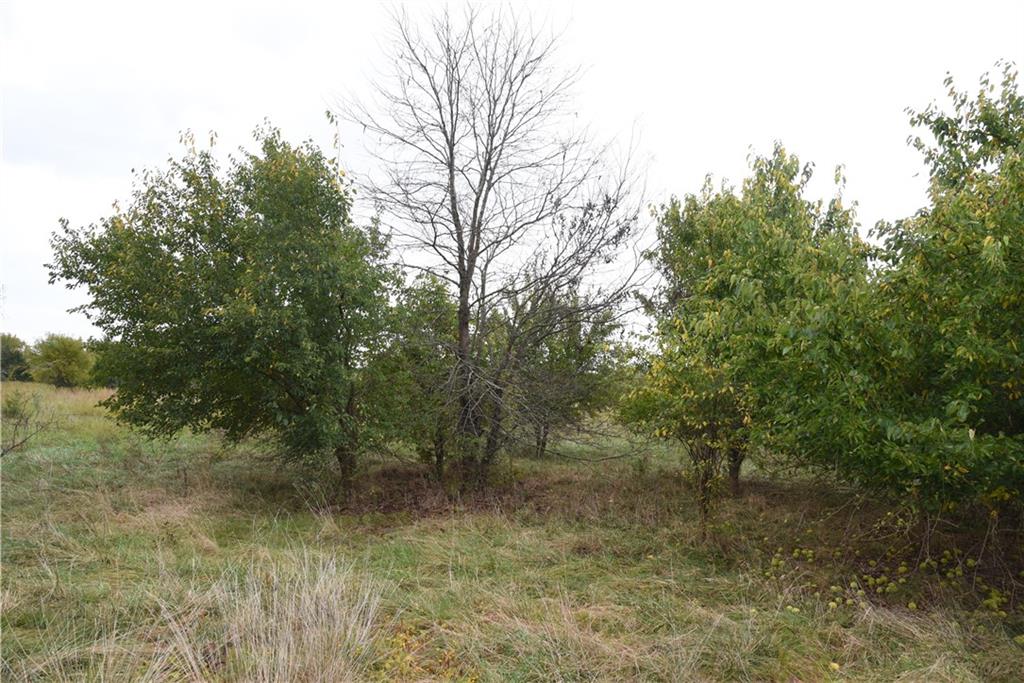 Quail Rd Road Property Photo 32