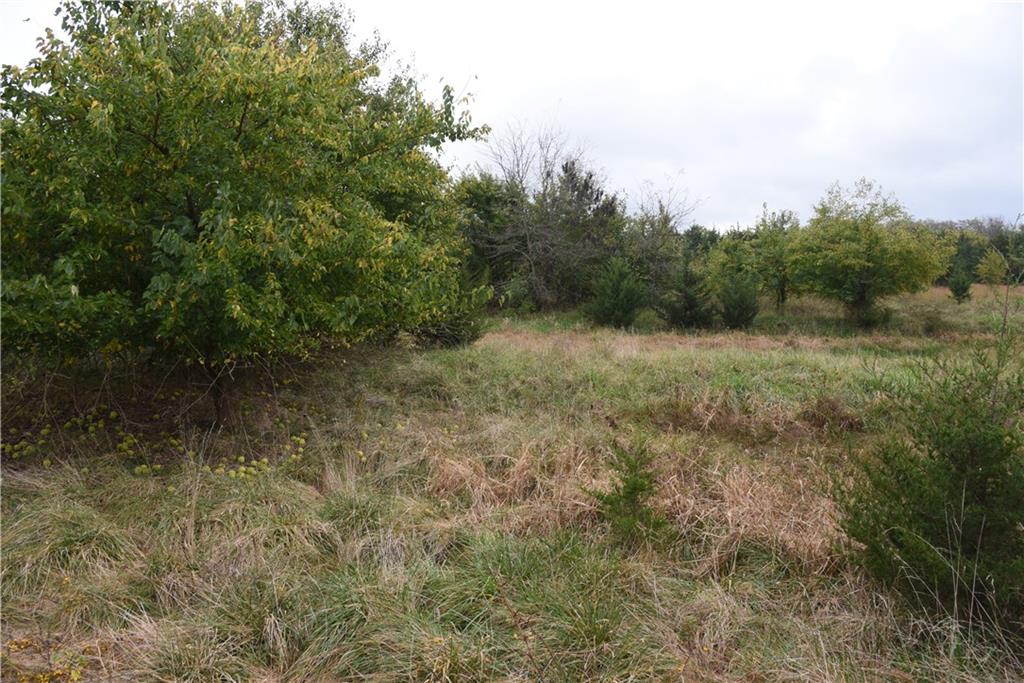 Quail Rd Road Property Photo 33