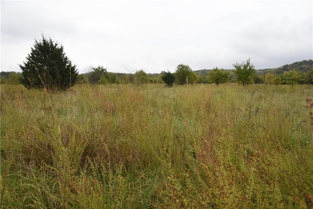 Quail Rd Road Property Photo 34
