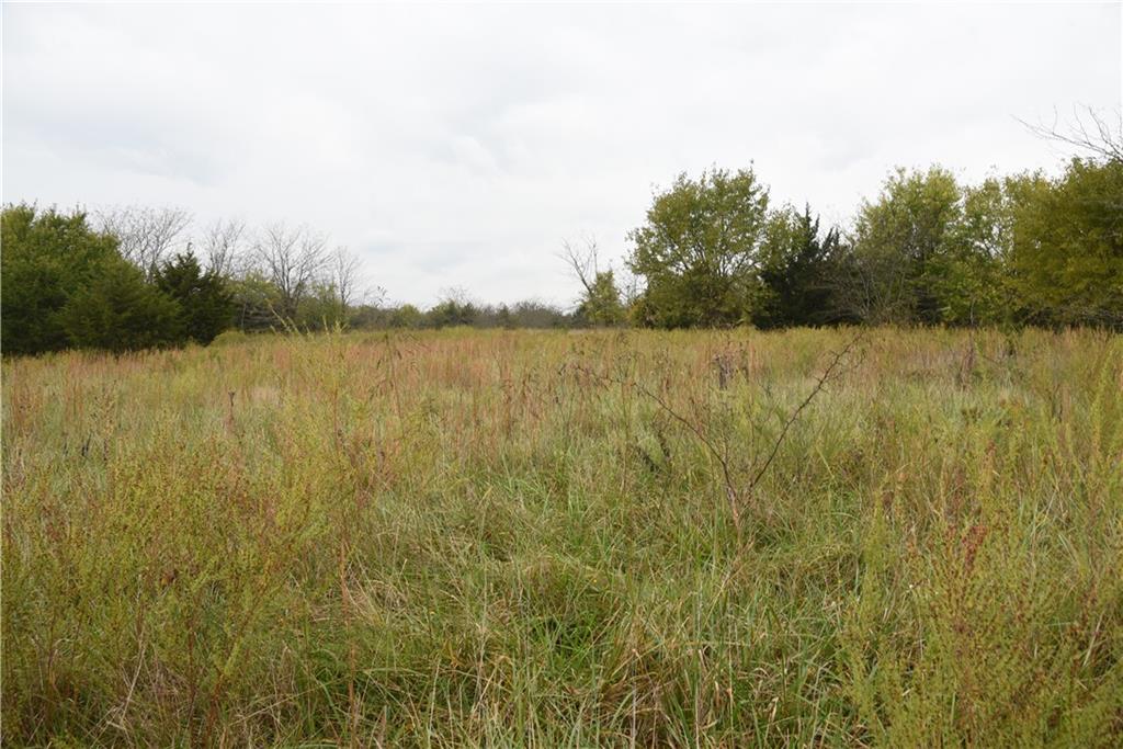 Quail Rd Road Property Photo 35