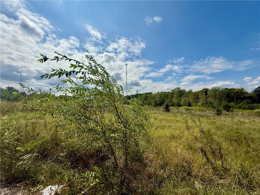 5401 Bennington Avenue Property Photo 16