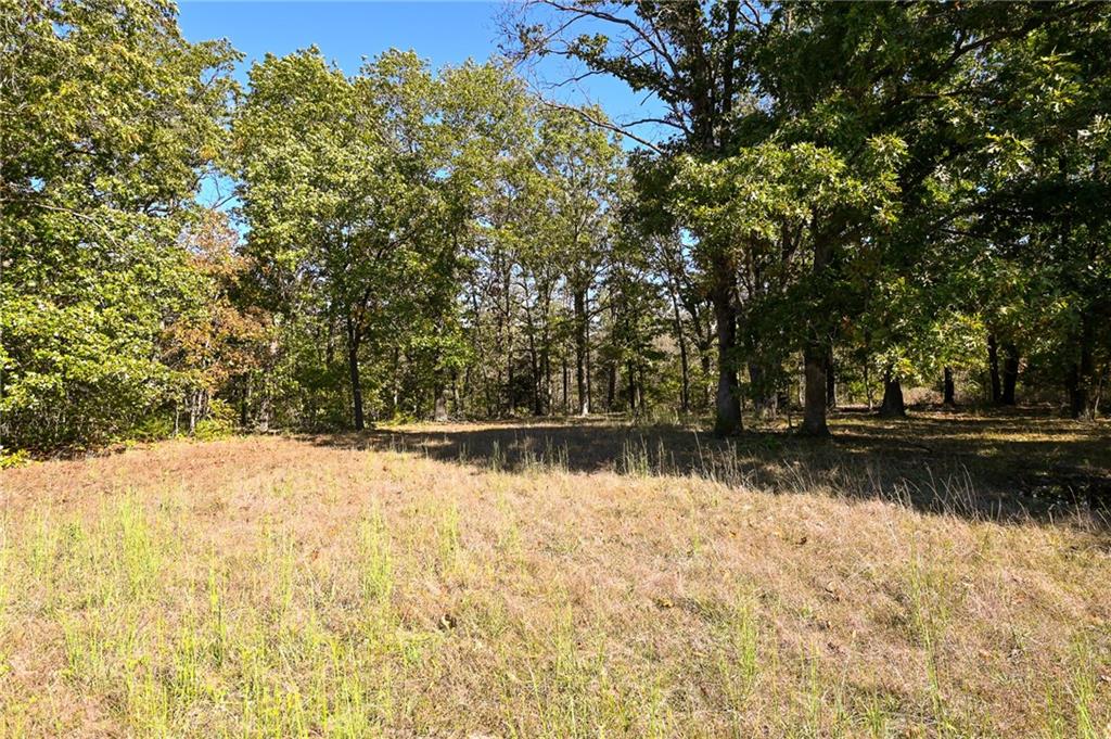 33981 County Road 96 Highway Property Photo 34