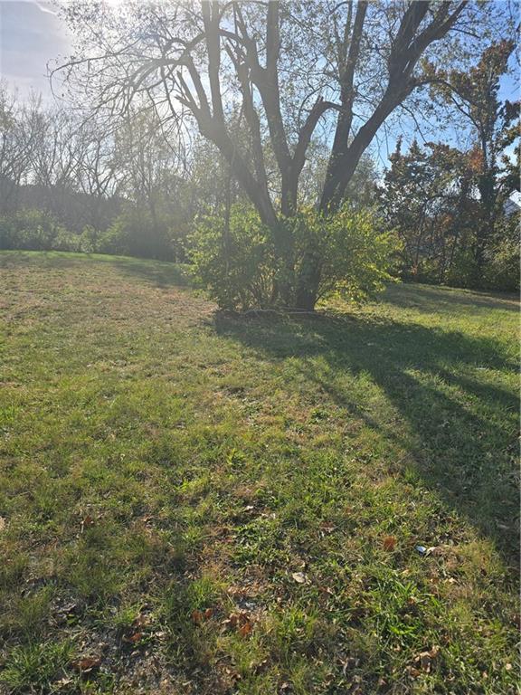 409 E 85th Street Property Photo 1
