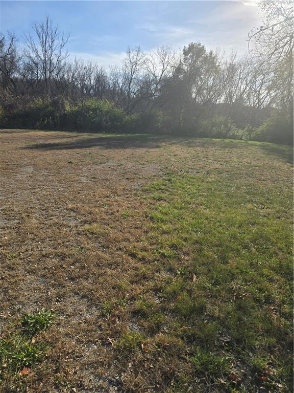 409 E 85th Street Property Photo 3
