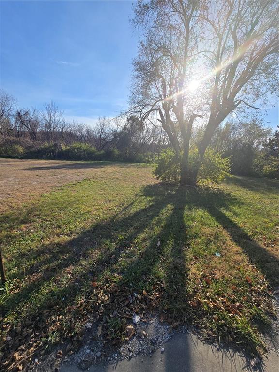 409 E 85th Street Property Photo 4