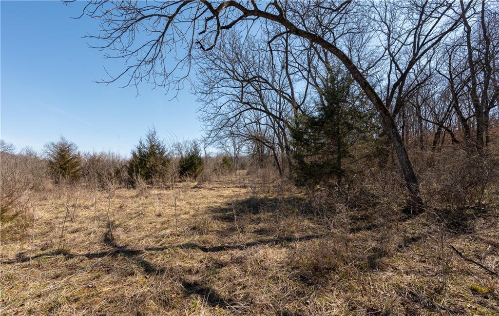 16018 Baxter Road Property Photo 12