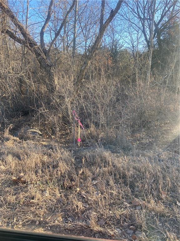 00000 Vacant - Phillips Road Property Photo 15