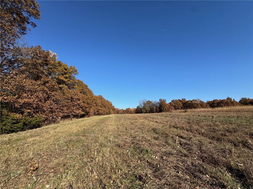 Tbd Sate Highway 13 Highway Property Photo 6