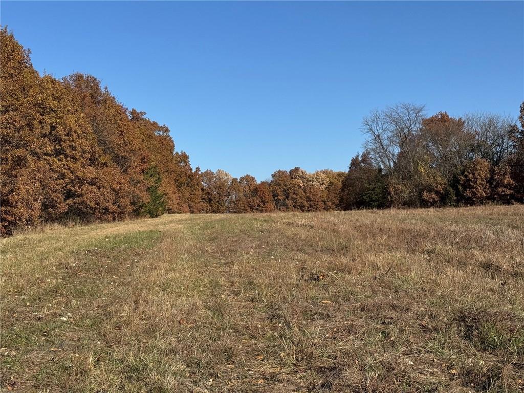 Tbd Sate Highway 13 Highway Property Photo 7