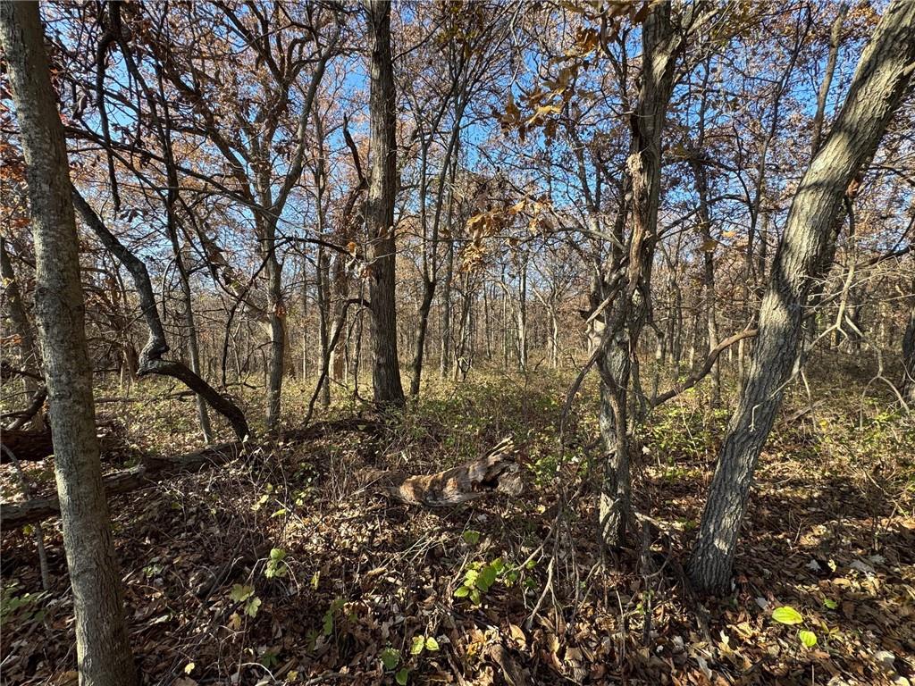 Tbd Sate Highway 13 Highway Property Photo 25