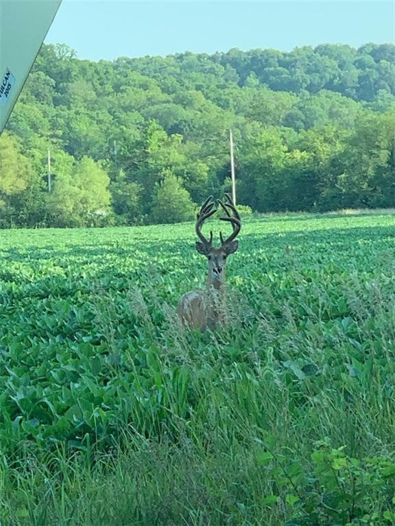 395.5 Acres N 1100 Road Property Photo 60