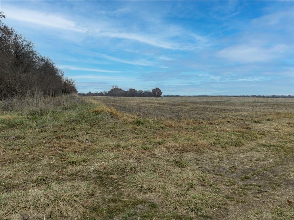 Tract 2 Pryor Road Property Photo 4