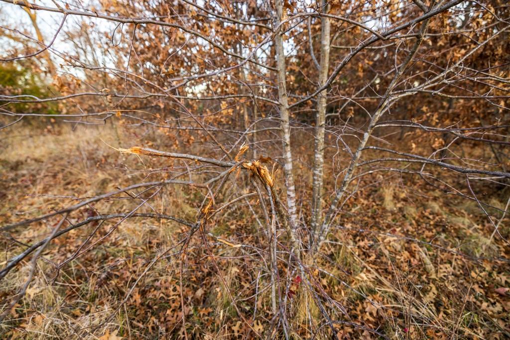Nw B Highway Property Photo 24