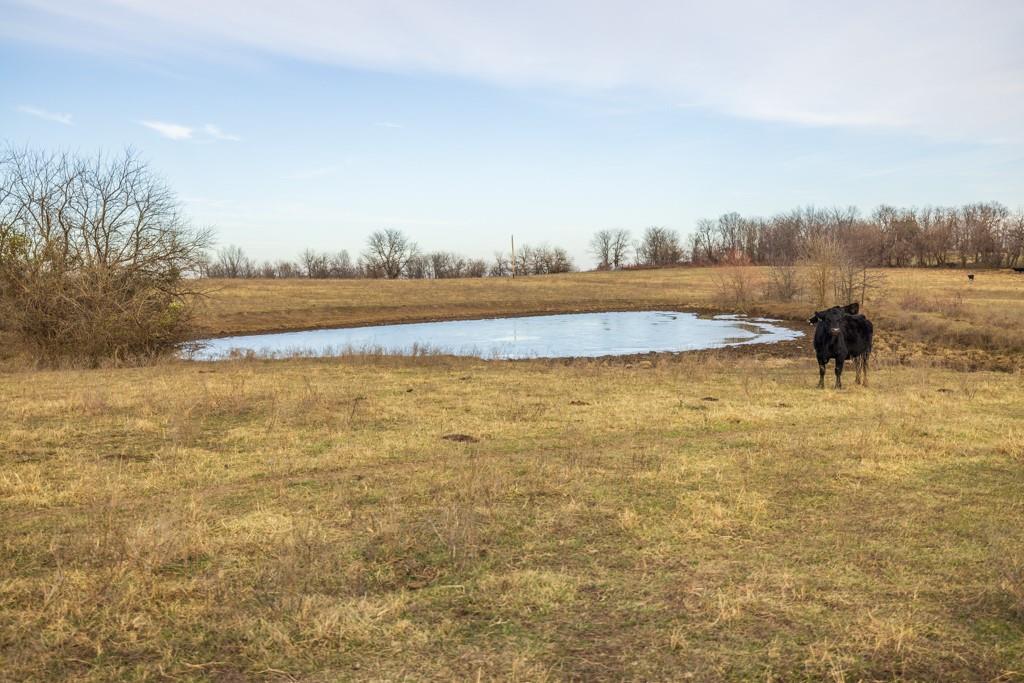 1225 Road Property Photo 61