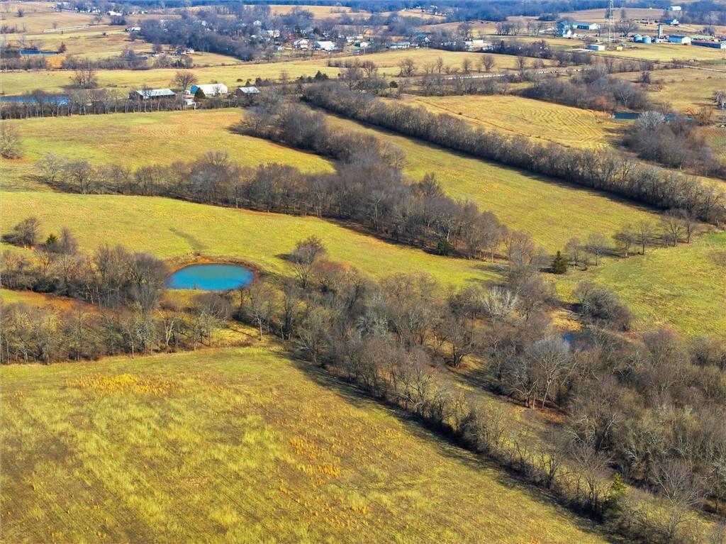 80 Ac S Wagonor Road Property Photo 5
