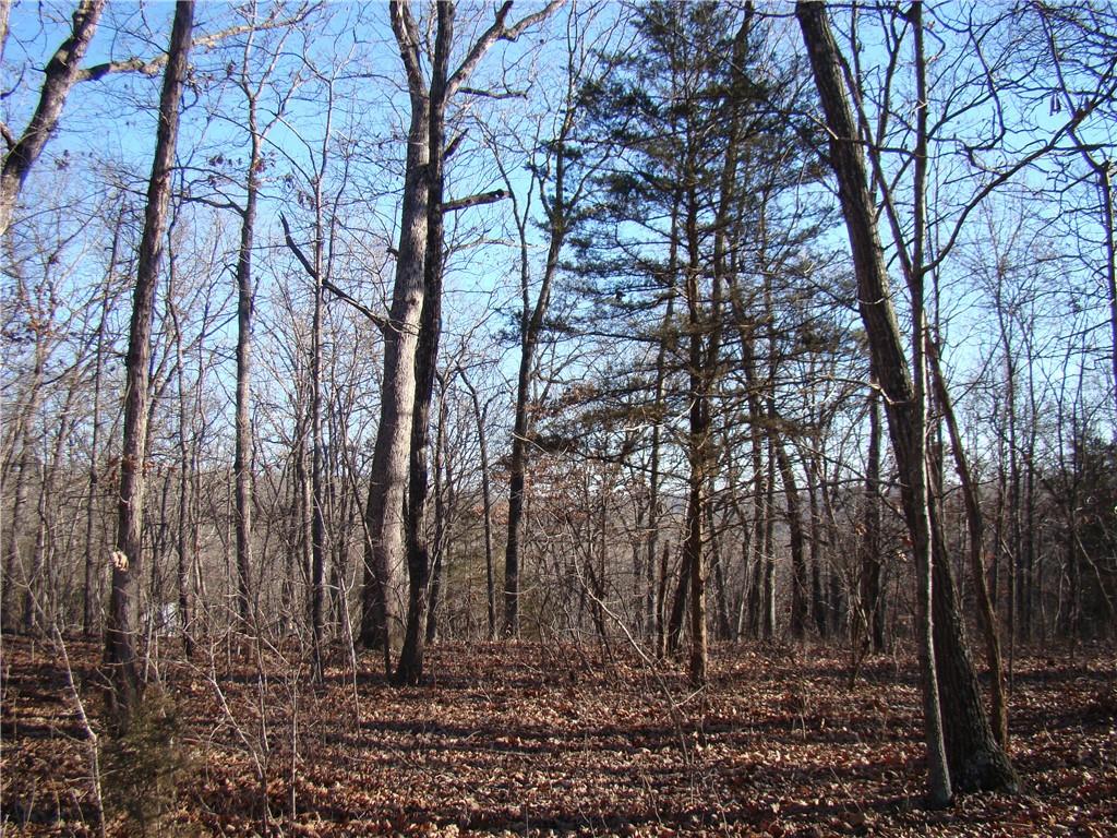 Gore/keevon Road Property Photo 1