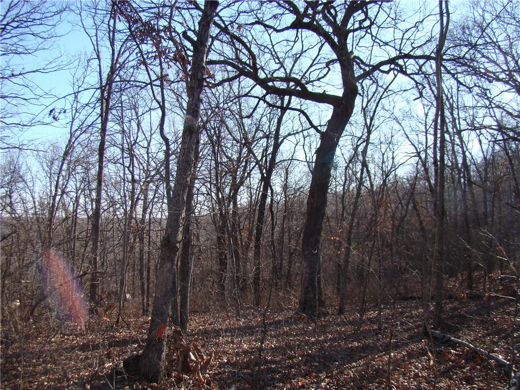 Gore/keevon Road Property Photo 3