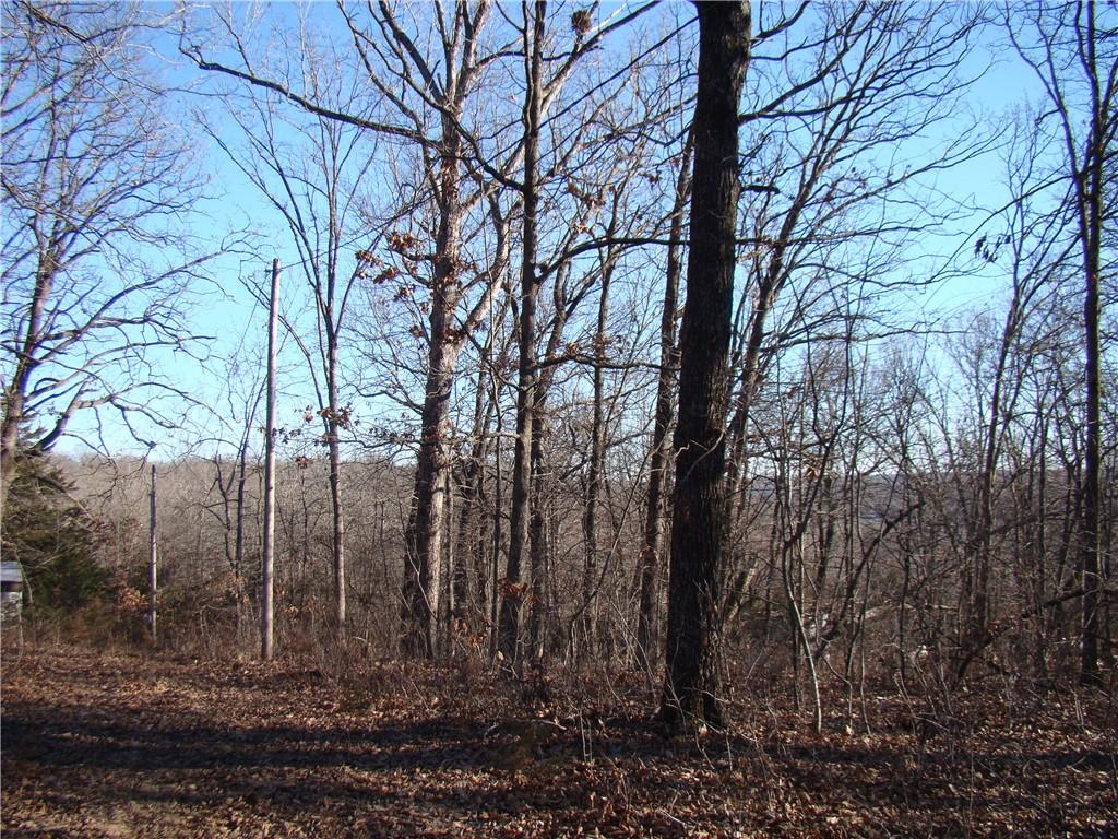 Gore/keevon Road Property Photo 4