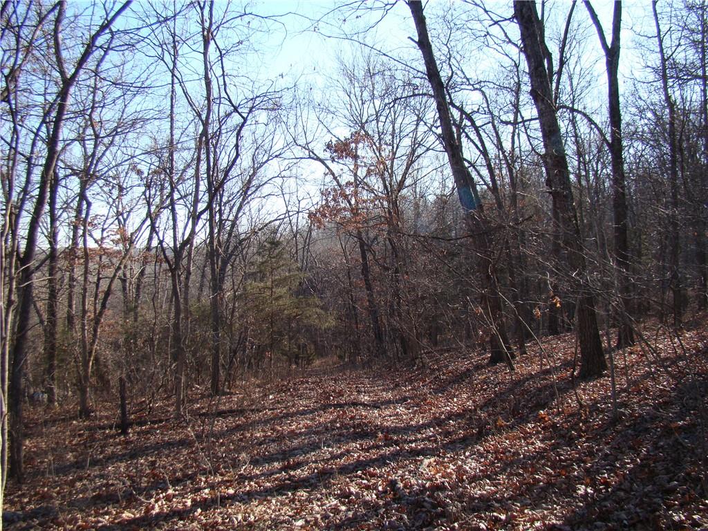 Gore/keevon Road Property Photo 5