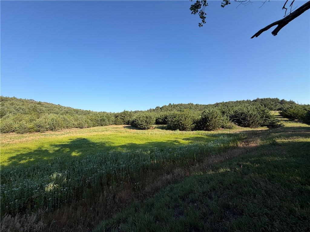 V Road Property Photo 40