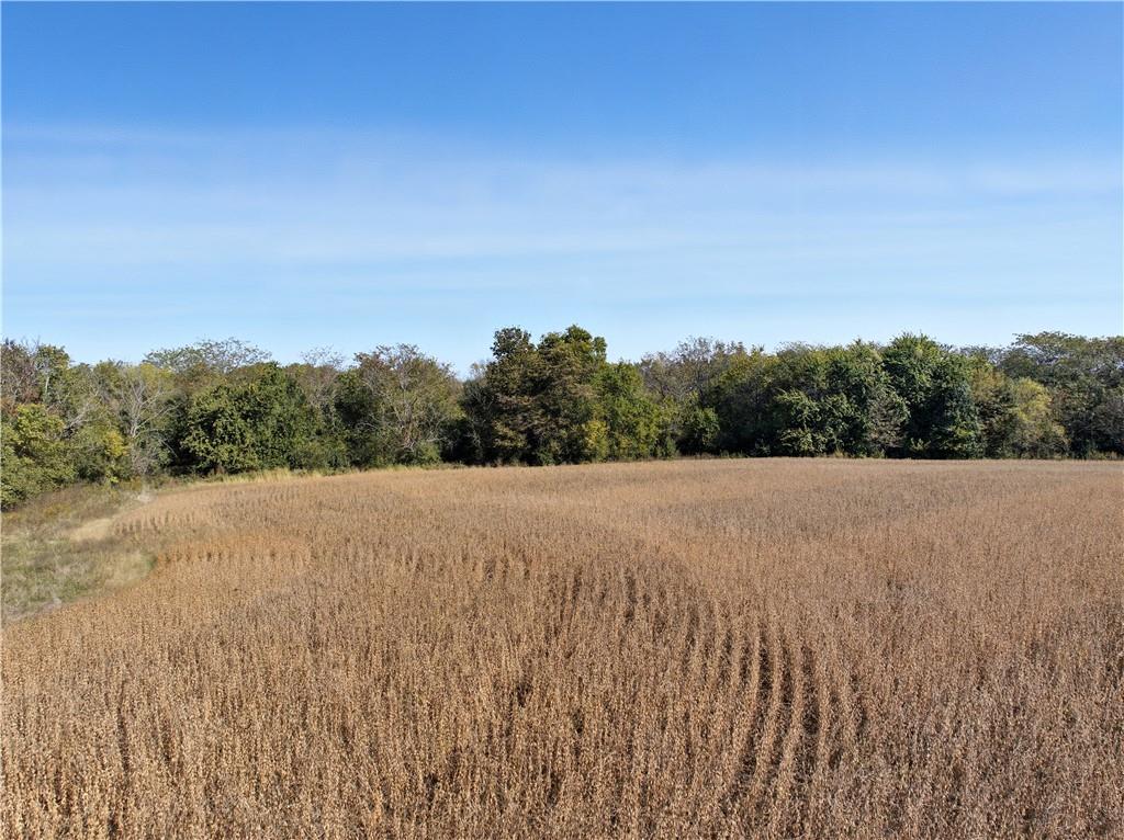 13104 S 7 Highway Property Photo 18