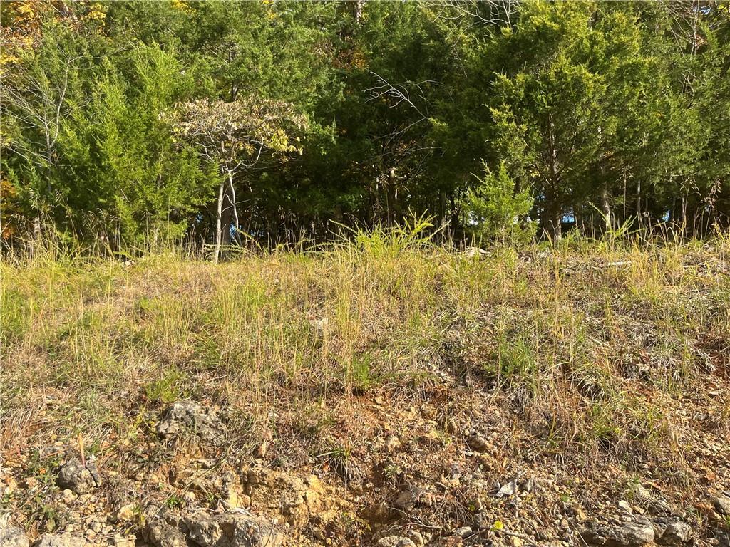Palisades Drive Property Photo 3