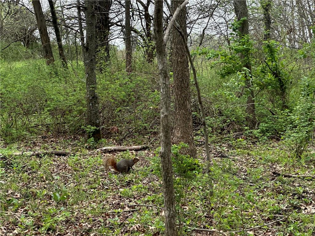 Nw 870 Road Property Photo 6