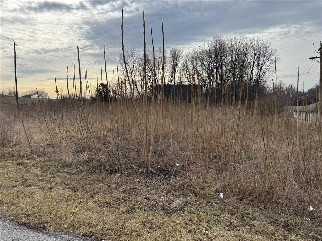 2900 S M 291 Highway Property Photo 6