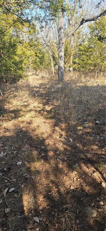W 207th Street Property Photo 10
