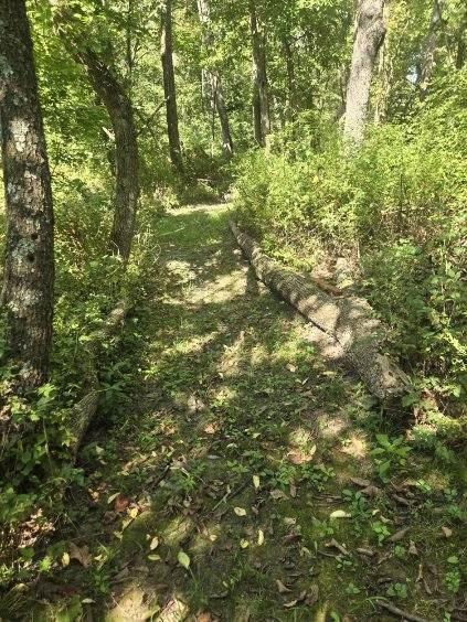 1685 Nw 785th Road Property Photo 46